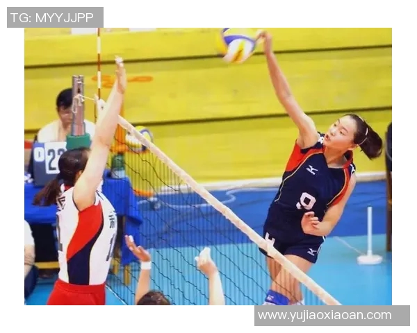 深入分析上海排球队的转换打法及其战术优势与应用