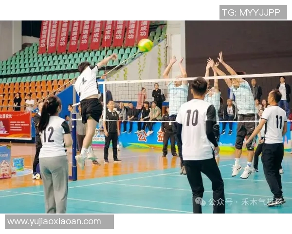 深入探讨杭州排球队不同节奏对比及其对比赛表现的影响分析