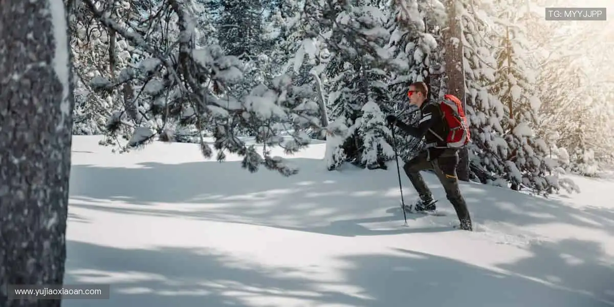📱高清直击，赛事瞬间永不缺席！🎥